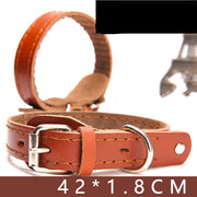 Leather Dog Collar
