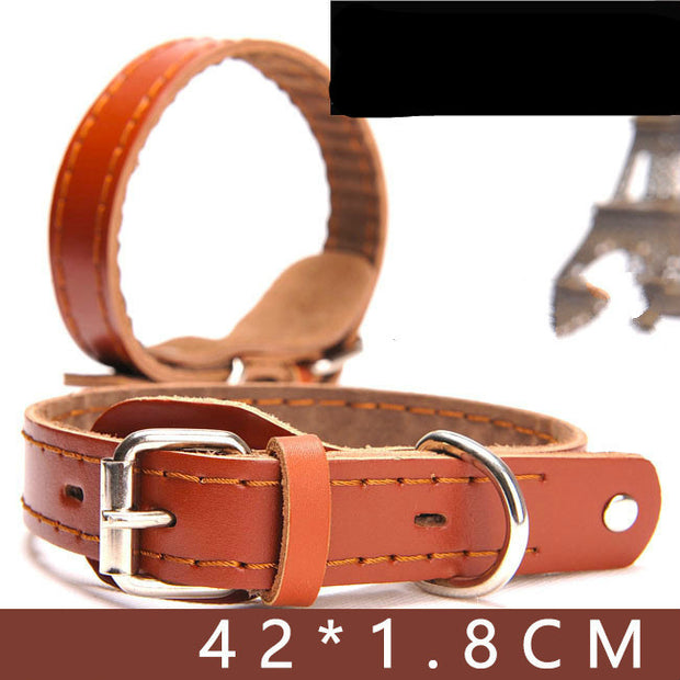 Leather Dog Collar