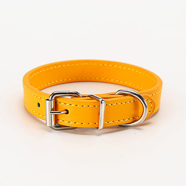 Pet Collar