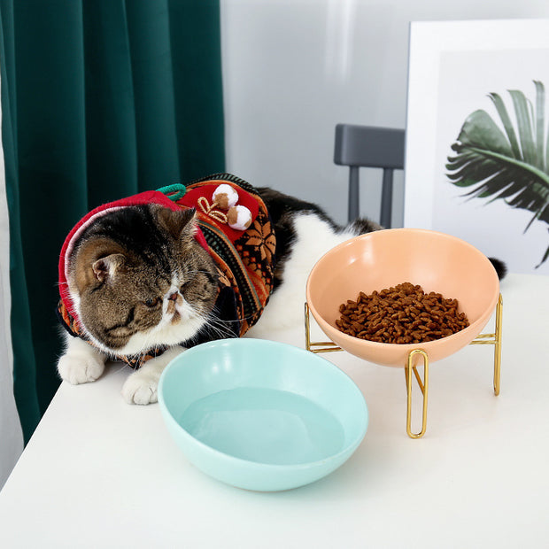 Pet Feeding Stand