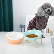 Pet Feeding Stand