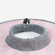 Cat Recovery Pet Cone Collar