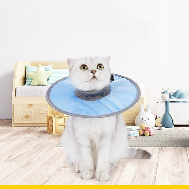 Cat Recovery Pet Cone Collar
